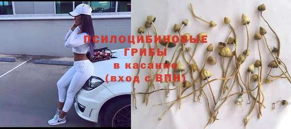 ПСИЛОЦИБИНОВЫЕ ГРИБЫ Алзамай