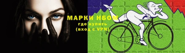 ПСИЛОЦИБИНОВЫЕ ГРИБЫ Алзамай
