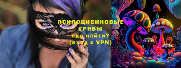 ешки Алексеевка